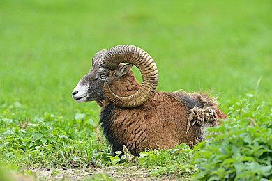 Xbox老大向媒体诉苦称不得不提高主机和XGP价格